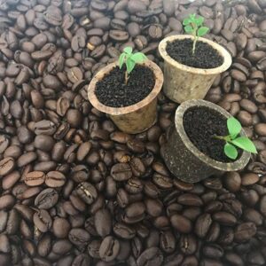 Koffiecups van bioplastic die je weggooit in je eigen compostbak
