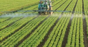 Landbouw gebruikt een vijfde minder gewasbeschermingsmiddelen