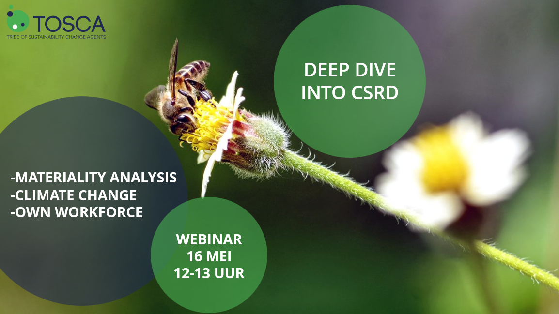 Lunch & learn: Deep dive into CSRD