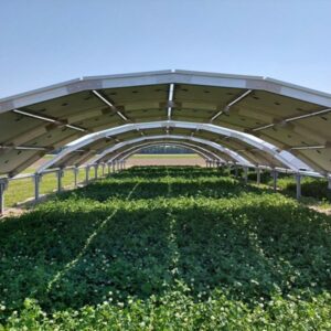 Innovatieve zonnepanelen op landbouwgrond zorgen voor zonne-energie én gewasopbrengst