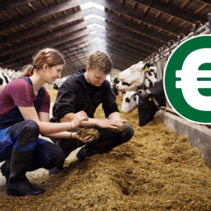 Vanaf vandaag ontvangen Arla-melkveehouders duurzaamheidsvergoeding