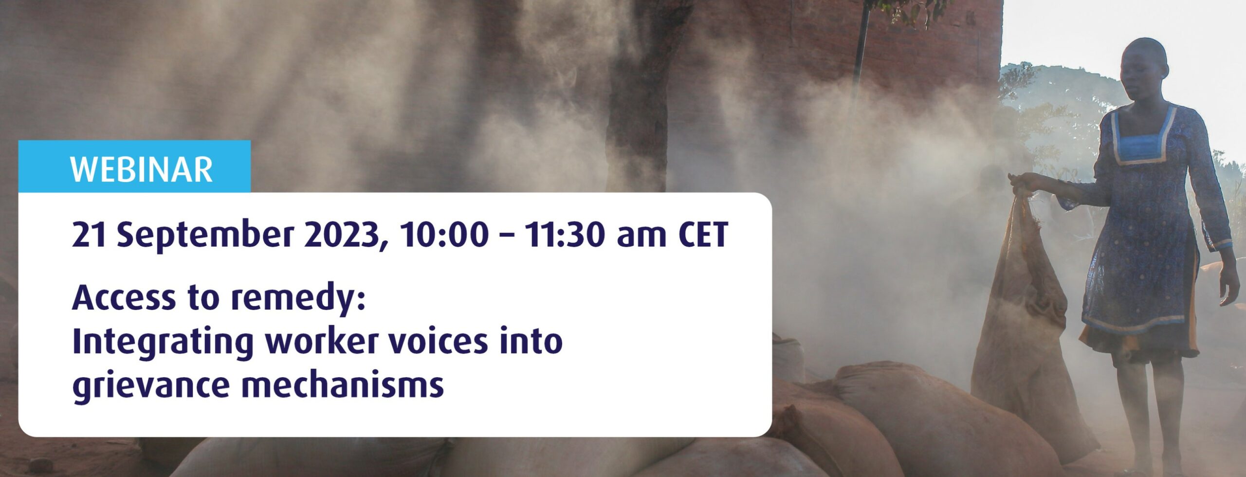 Webinar 'Access to remedy: integrating worker voices into grievance mechanisms'