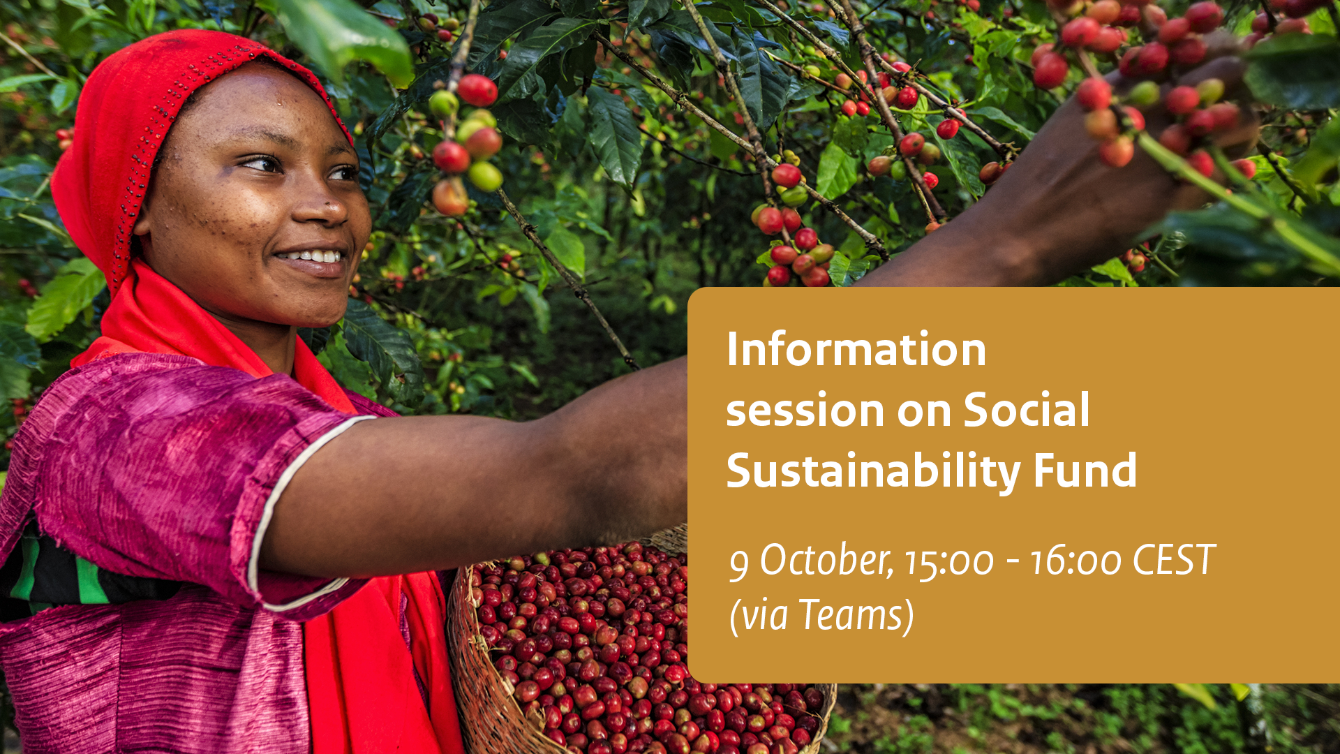 Information session | Social Sustainability Fund (SSF)