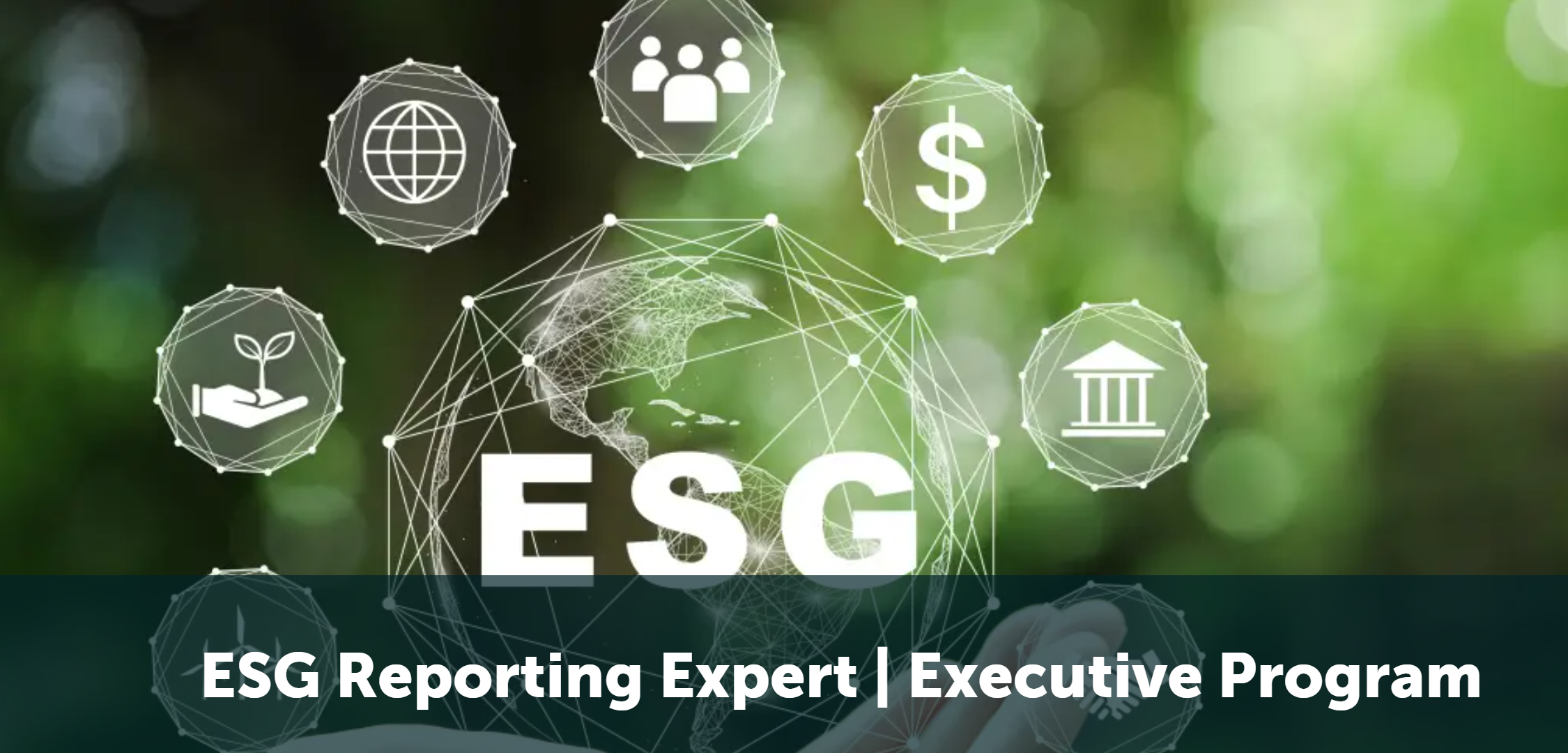 Start ESG Reporting Expert | Executive Program