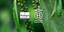 Verstegen Spices & Sauces is B Corp gecertificeerd