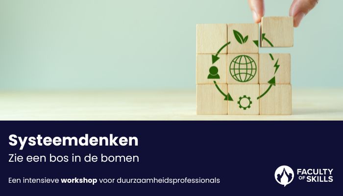 Workshop Systeemdenken