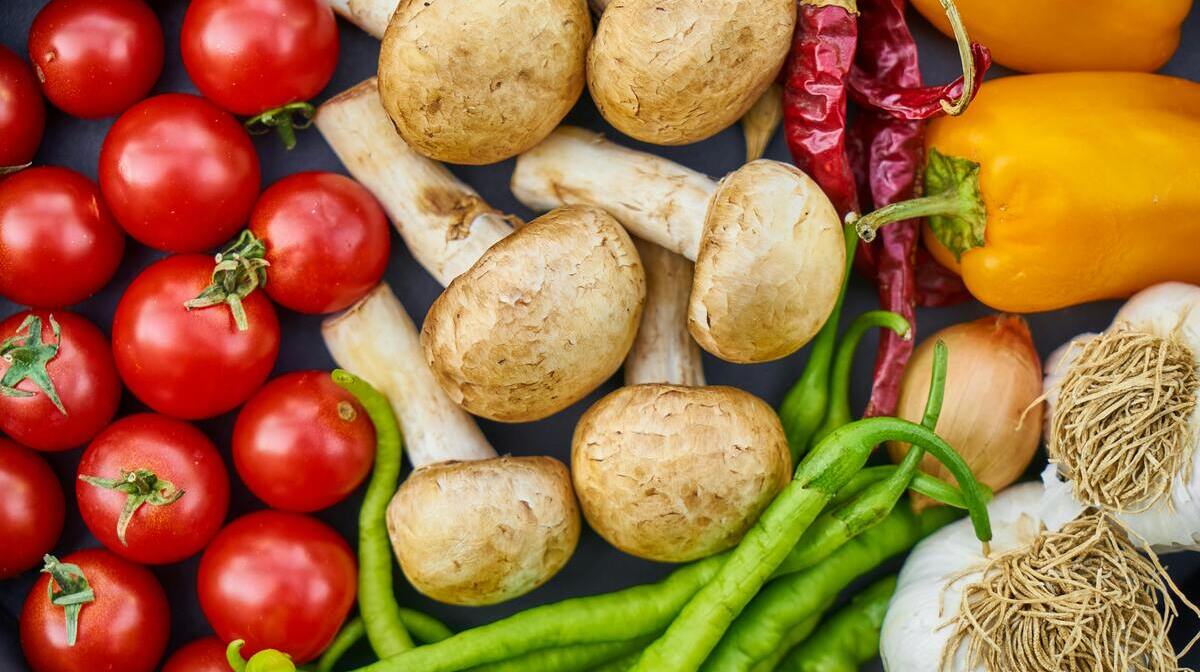 Themabijeenkomst: Samen bouwen aan een duurzamere voedselketen