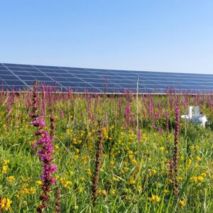 RCOBhAmAOcgNG1MchslpQznOsYi4Y83NBQSgDQOJ