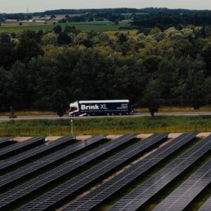 brinkxl