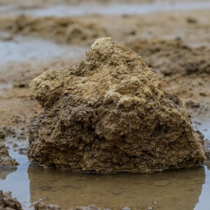 unnamed – 2025-09-22T102613.016