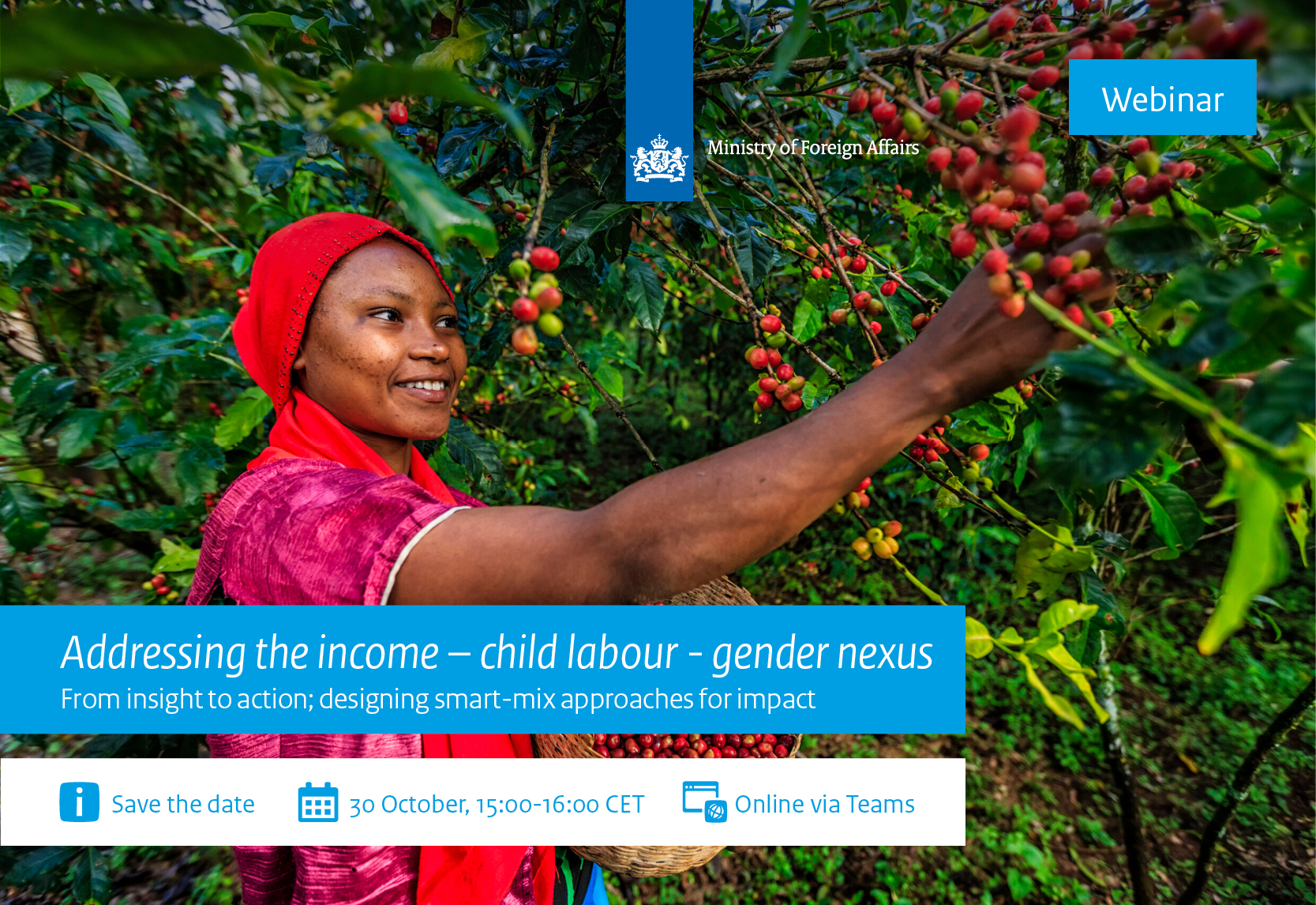Webinar 'Adressing the income–child labour-gender nexus'