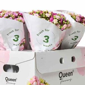 Schermafbeelding 2025-10-14 150026