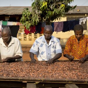 Reis Ghana, van 23 tot 27 januari 2017