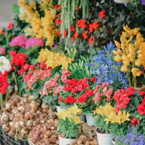 pexels-minan1398-1389401