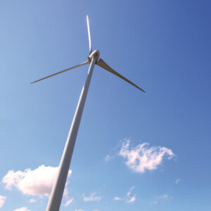 unnamed – 2025-10-08T195248.541