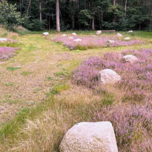 unnamed – 2025-10-15T163509.133