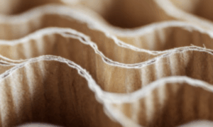 Cisco past circular design principes toe in 100% van nieuwe producten en verpakkingen