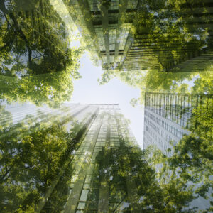 Cityscape mixed with green plants, multi layered image