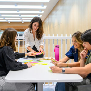 beeldmasterduurzaamheidstransities