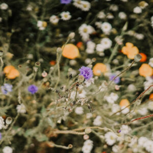 unnamed – 2025-11-13T124426.495