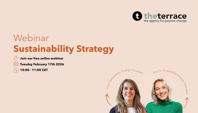 Webinar Sustainability Strategy