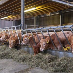 Ontwerp-zonder-titel-7-600×600