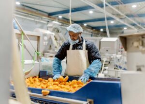 PeelPioneers maakt doorstart bij Spaanse onderneming CEAMSA