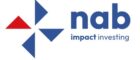 Netherlands Advisory Board on impact investing