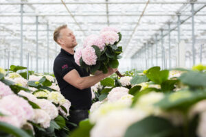 VGB, Floricode en Floridata verlengen samenwerking Sustainability Sourcing Scan tot 2030