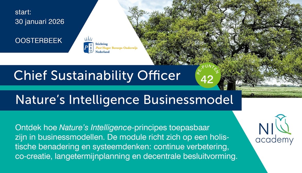 Start van de module NI-Businessmodel