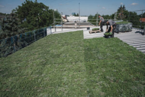 Tata Steel Nederland lanceert de Green Box: voor groene daken van metaal