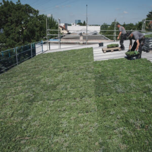 unnamed – 2025-12-08T083404.296