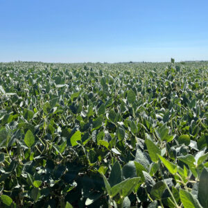 unnamed – 2025-12-15T125640.231