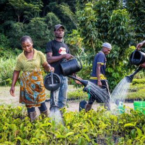 20250220_048-scaled-1440×0-c-default