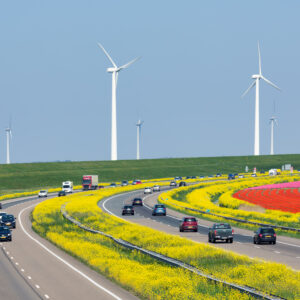 Dutch motorway near lelystad along colorful tulip fields and windturbines