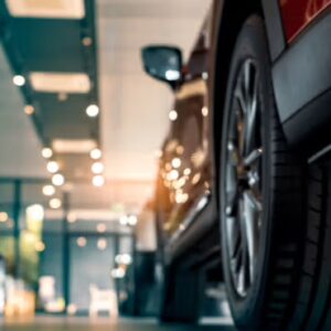 ec6351a8165bdc640669667796a708d366a5b0f3-5644×3542