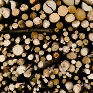 pexels-tatianasyrikova-3933914