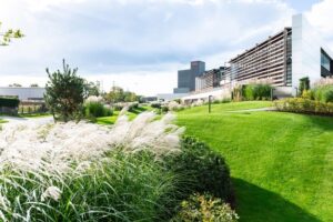 DCM publiceert eerste ESG-rapport: “Duurzaamheidsinspanningen transparanter maken”