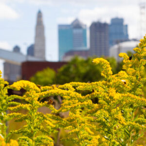 biodiversiteit-768x533