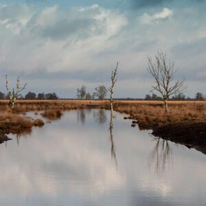 pexels-elger-toss-2148182888-30172425