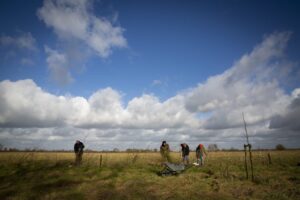 Oppervlakte voedselbossen in vijf jaar tijd vertienvoudigd