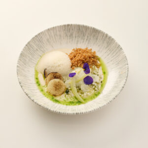 Het-gerecht-van-Robert-Janse