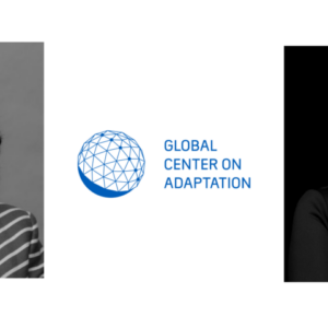 New-organization-banner--1200x480