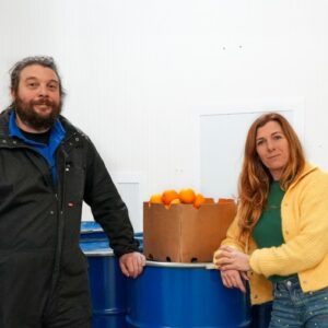 Schermafbeelding 2026-03-02 140653