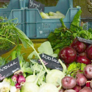 Kopie van Kopie van pan header 5 (1900 x 436 px) - 1