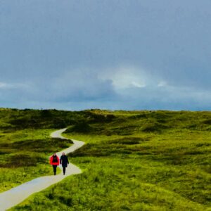 pexels-clickerhappy-705180