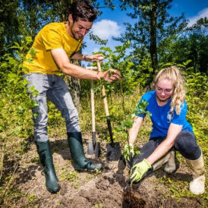 unnamed - 2026-03-04T103400.601