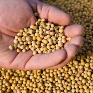 unnamed - 2026-03-11T135821.284