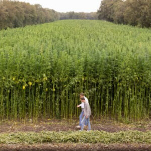 unnamed - 2026-03-27T103707.372