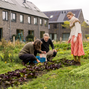 unnamed - 2026-03-31T100242.800